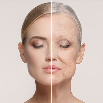 Maintain vitality through every stage of life.